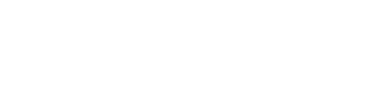 gun